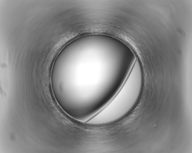 X0000091370673200708101115