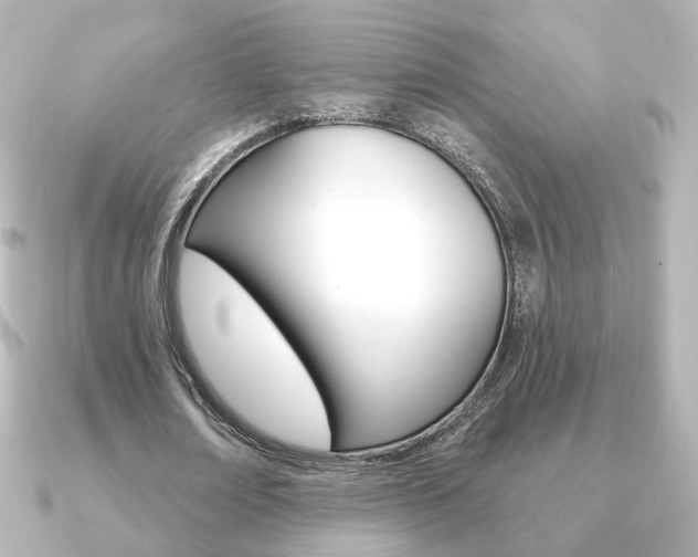 X0000091370674200708101115