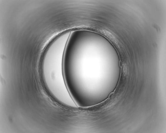 X0000091370676200708101115