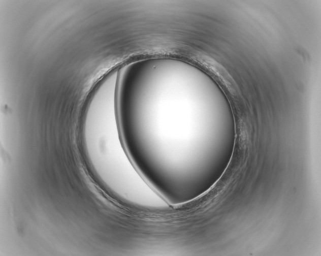 X0000091370677200708101115