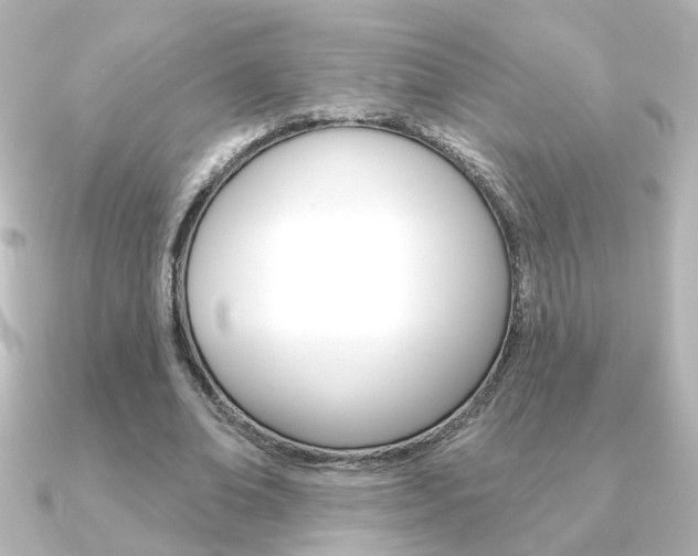 X0000091370678200708101115