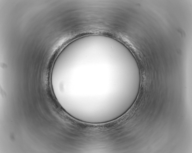 X0000091370679200708101115