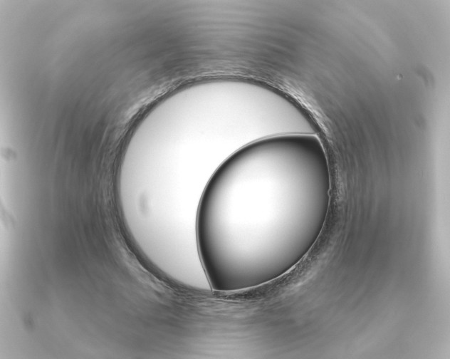 X0000091370681200708101115