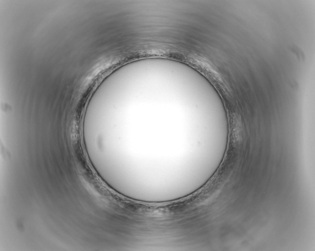 X0000091370683200708101115