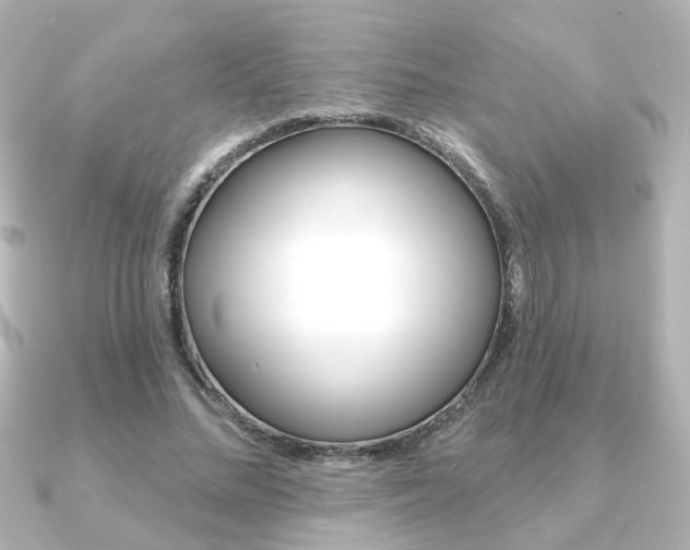 X0000091370684200708101115