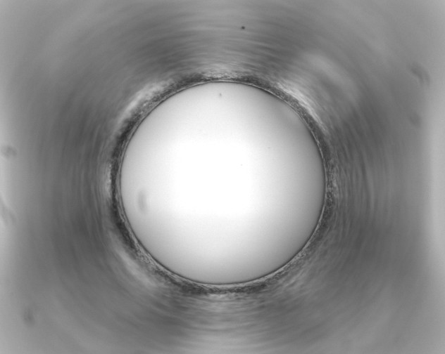 X0000091370686200708101115
