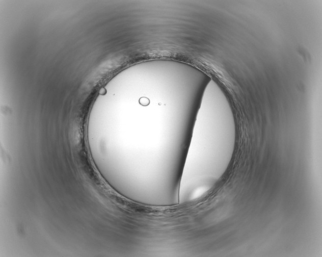 X0000091370687200708101115