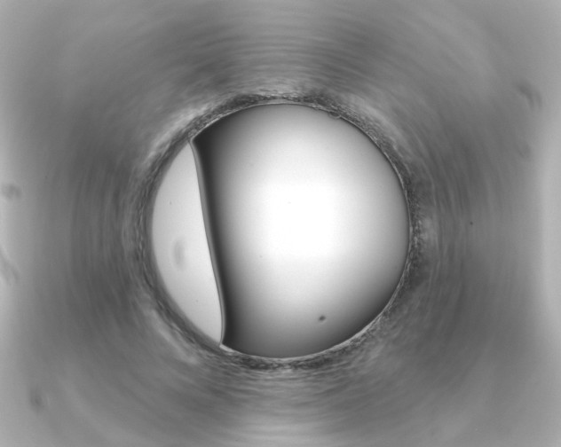 X0000091370688200708101115