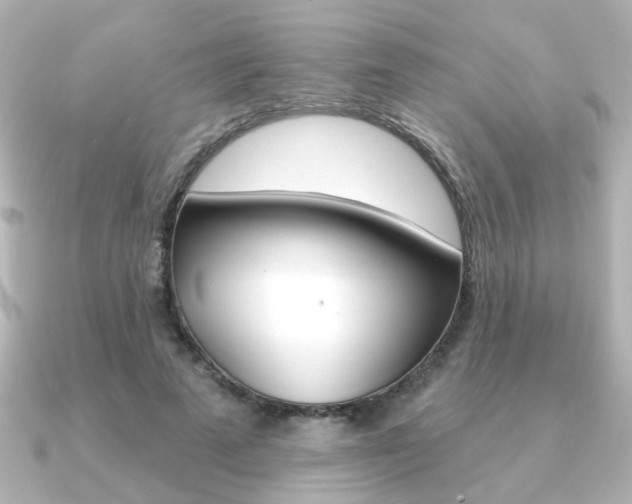 X0000091370689200708101115