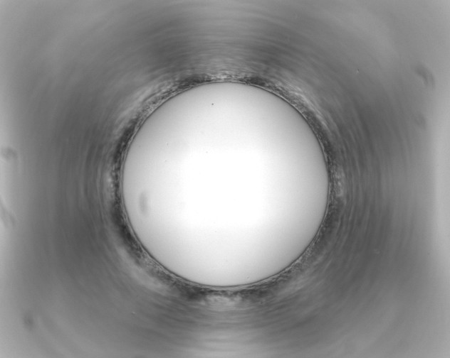 X0000091370690200708101115