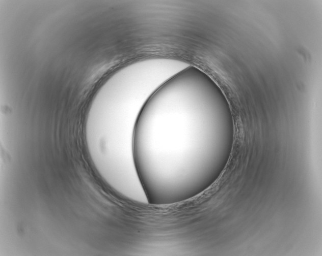 X0000091370692200708101115