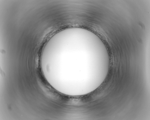X0000091370694200708101115
