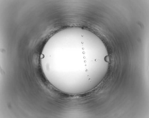 X0000091370695200708101115
