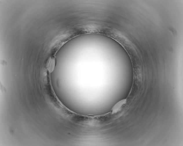X0000091370696200708101115