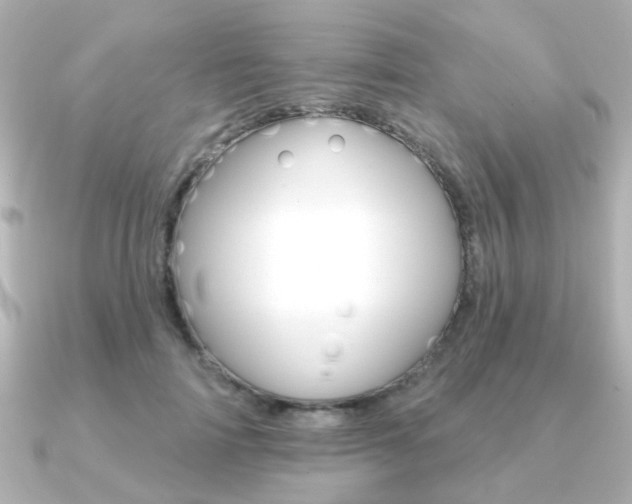 X0000091370698200708101115