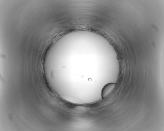 X0000091370699200708101115