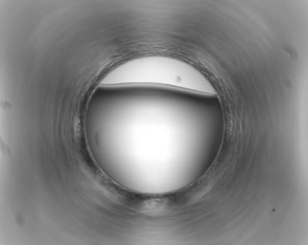 X0000091370700200708101115
