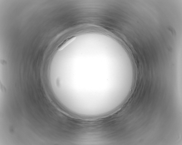 X0000091370701200708101115
