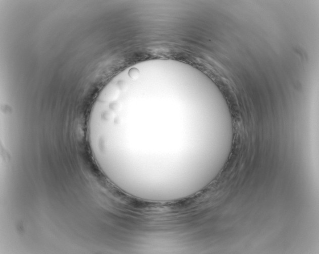 X0000091370702200708101115