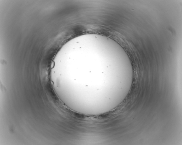 X0000091370703200708101115