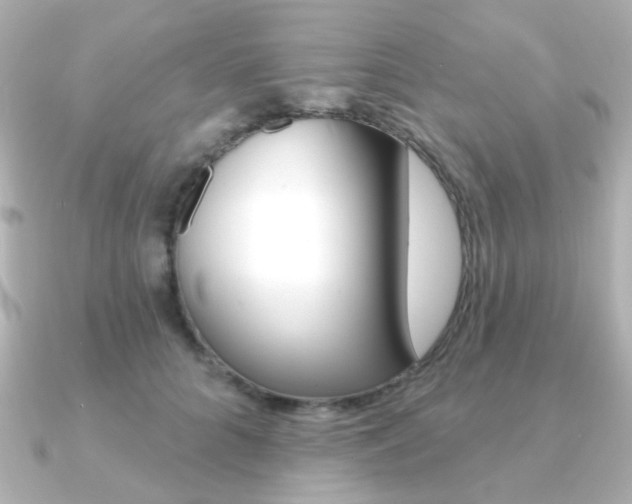 X0000091370704200708101115