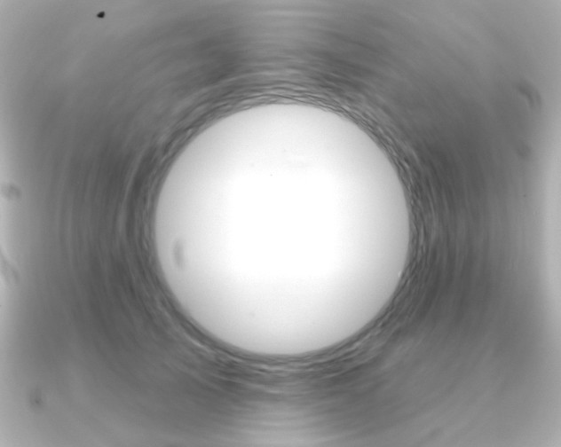 X0000091370705200708101115