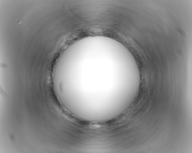 X0000091370706200708101115