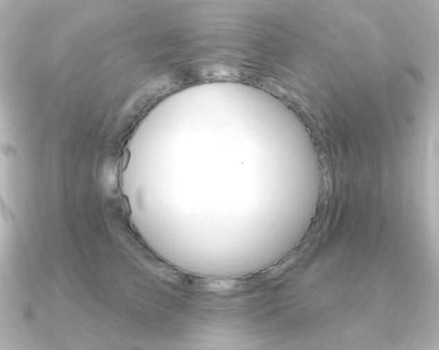 X0000091370709200708101114