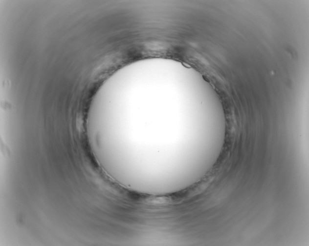 X0000091370711200708101114