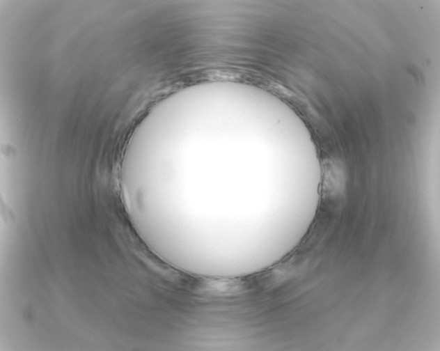 X0000091370713200708101114