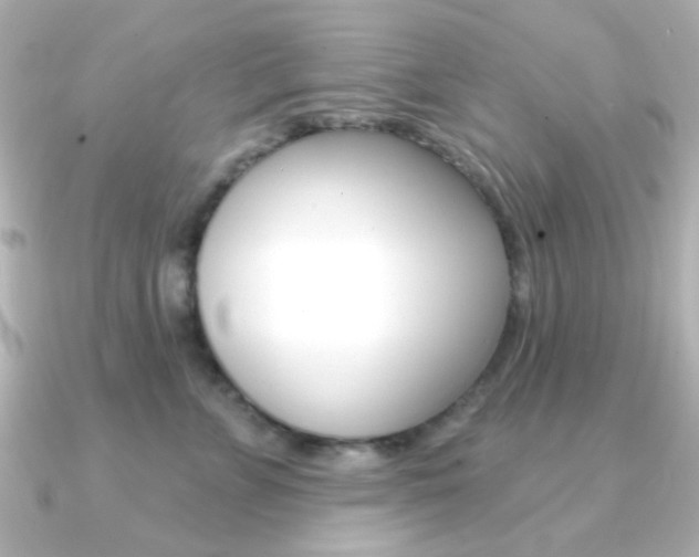 X0000091370715200708101114