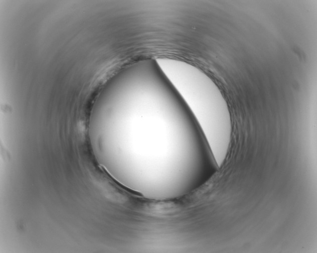 X0000091370716200708101114