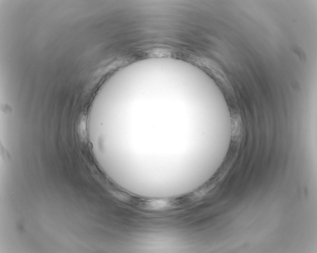 X0000091370717200708101114