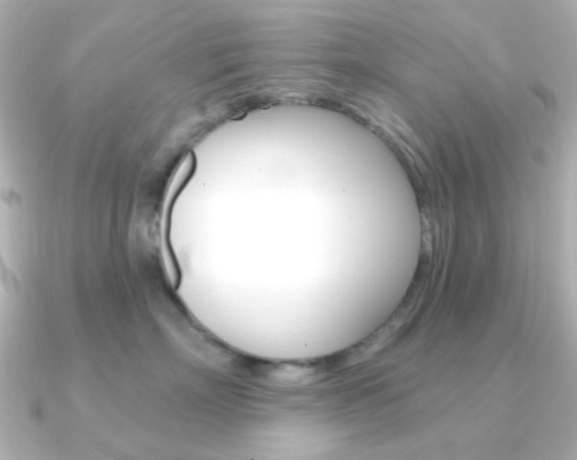 X0000091370718200708101114