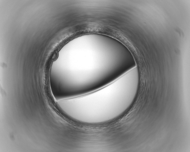 X0000091370722200708101114
