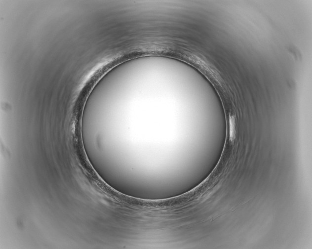 X0000091370723200708101114