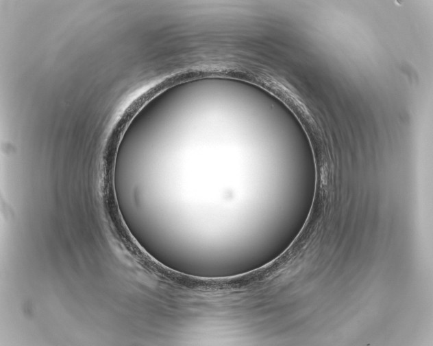 X0000091370724200708101114