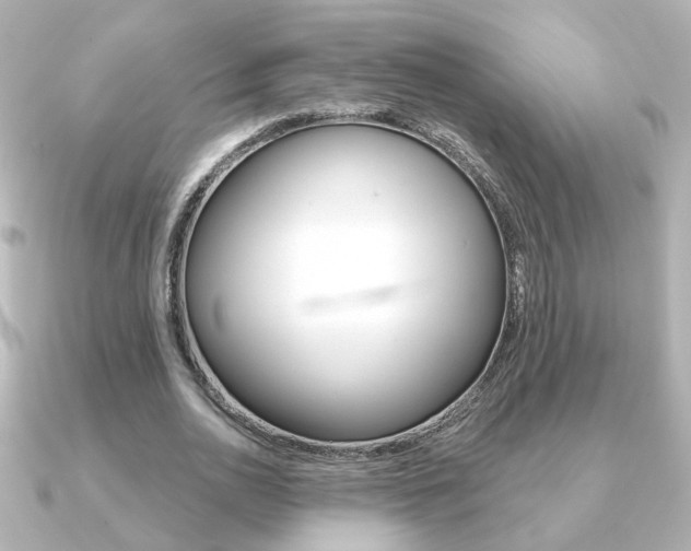 X0000091370726200708101114