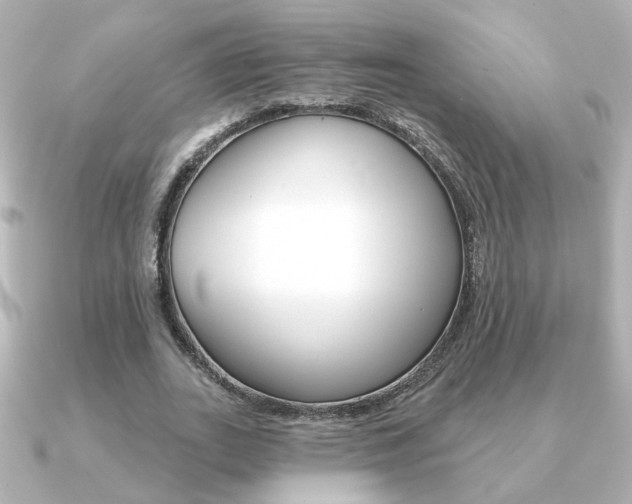 X0000091370727200708101114