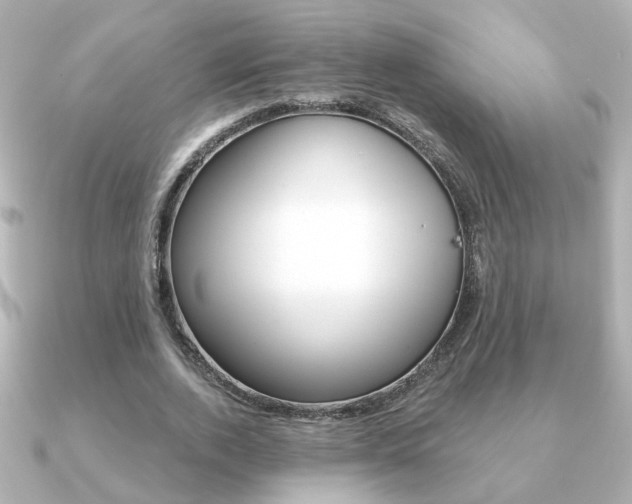 X0000091370728200708101114