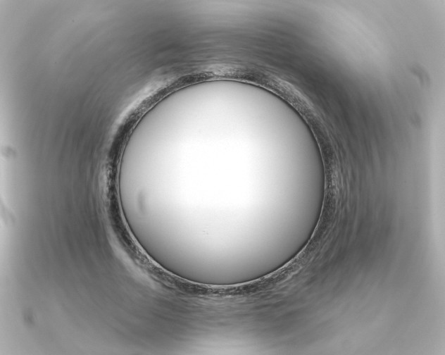 X0000091370730200708101114