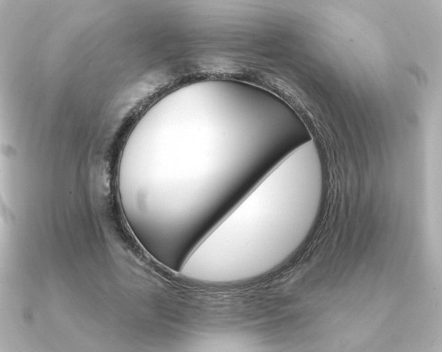X0000091370731200708101114