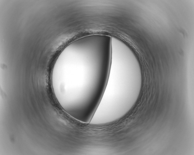 X0000091370732200708101114