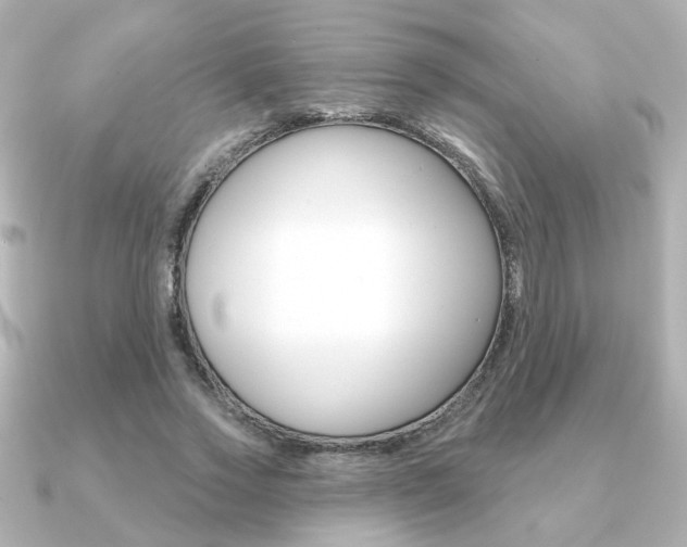 X0000091370733200708101114