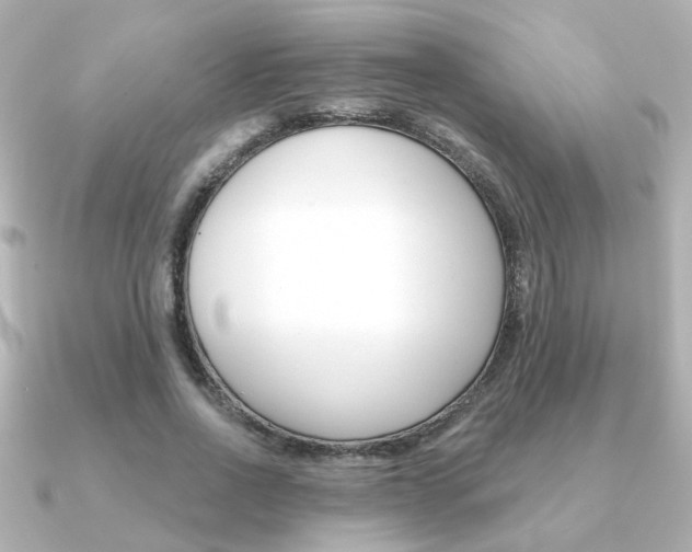 X0000091370734200708101114