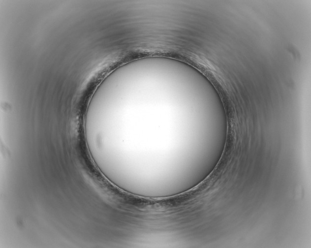 X0000091370735200708101114