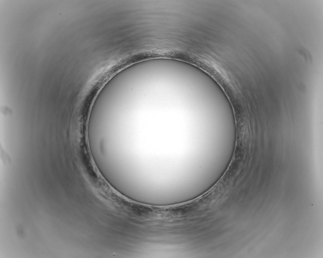 X0000091370736200708101114