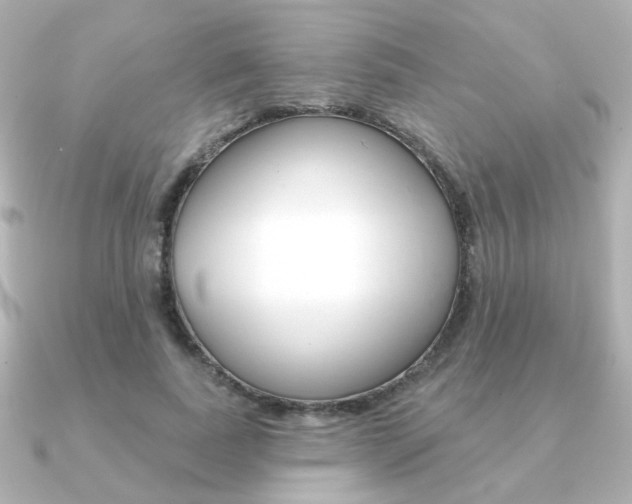 X0000091370739200708101114