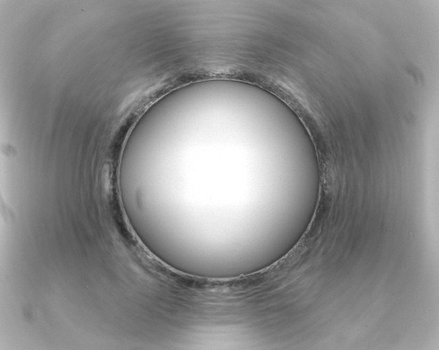 X0000091370740200708101114