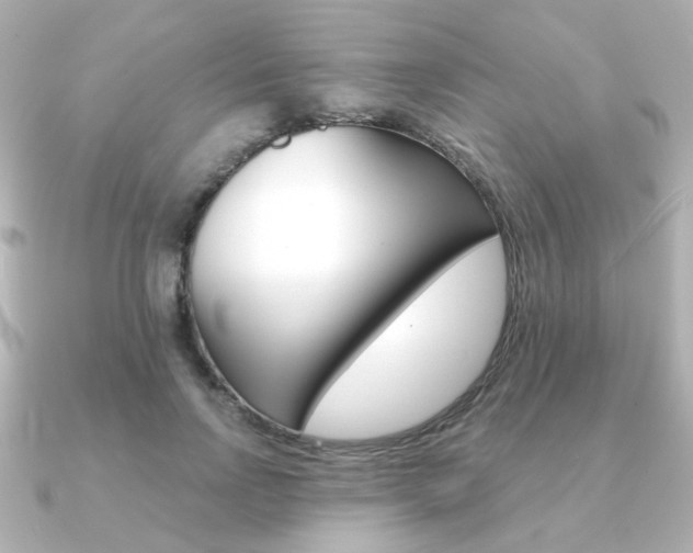 X0000091370742200708101114